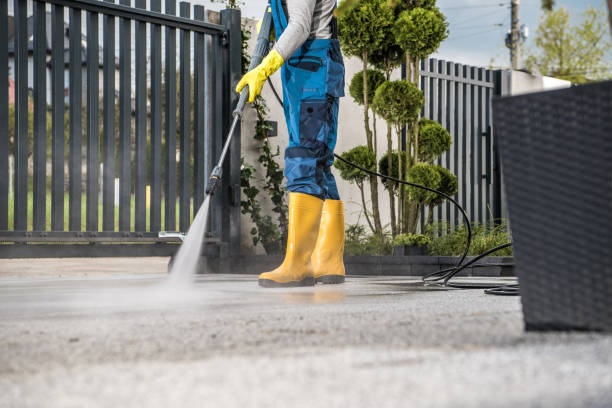 Best Pressure Washing Driveway  in North Browning, MT